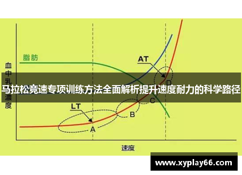 马拉松竞速专项训练方法全面解析提升速度耐力的科学路径
